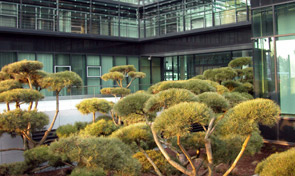 Erweiterung Center Linz AG, Linz, 2005 (Foto: rajek barosch)